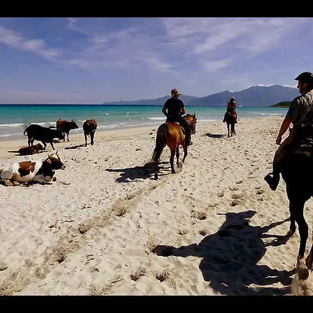 Grande Villa, Corse Du Sud, Domaine Prive De Cala Rossa