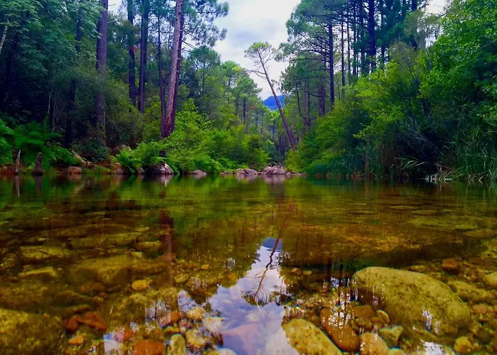 Grande Villa, Corse Du Sud, Domaine Prive De Cala Rossa Villa Porto-Vecchio (Corsica)