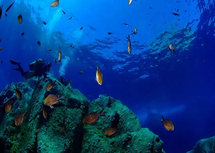 Grande Villa, Corse Du Sud, Domaine Prive De Cala Rossa